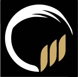 InnCapital Group logo